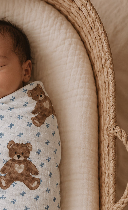 Teddy Bear Picnic // Swaddle