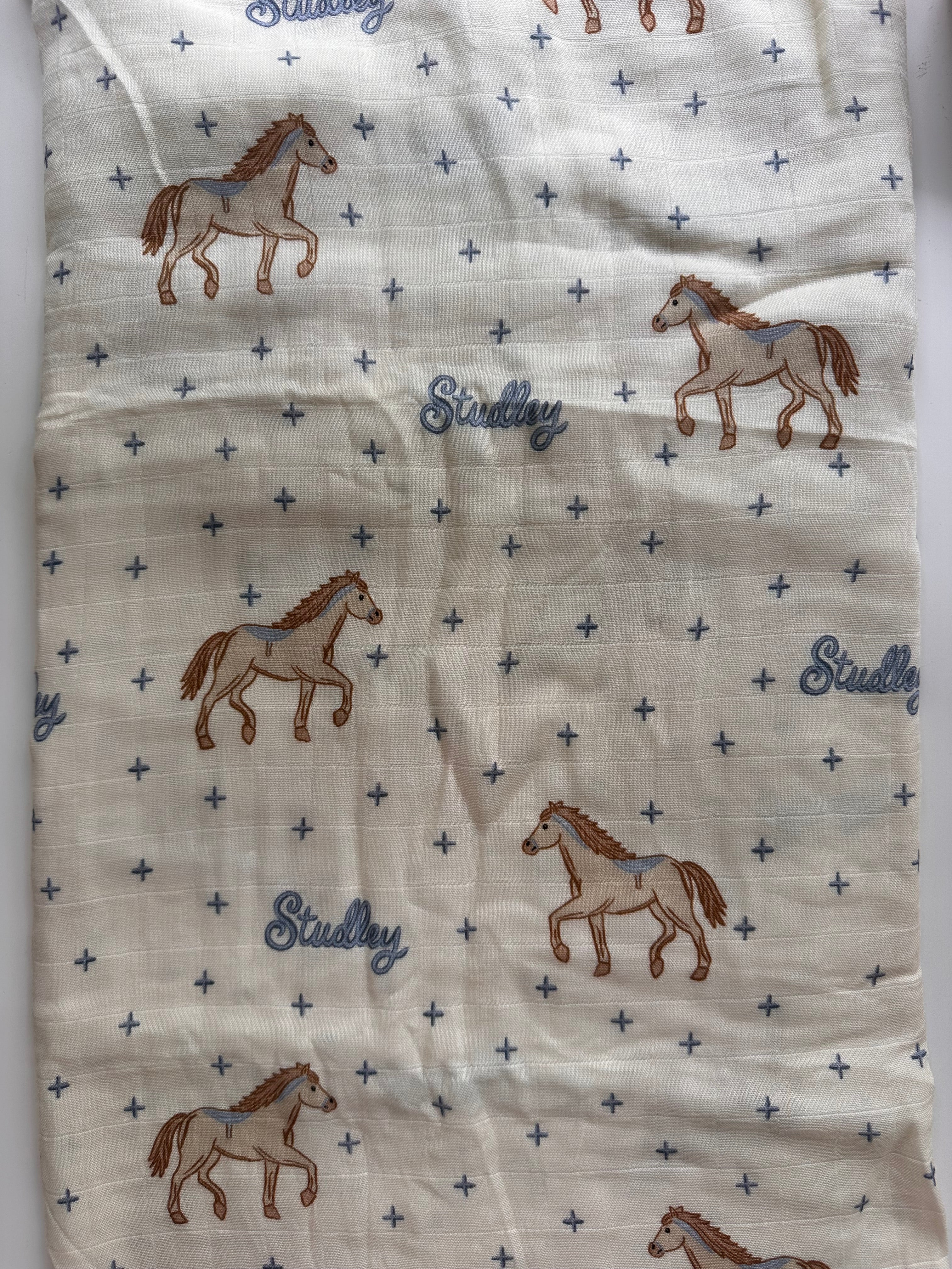 Rodeo Show // Swaddle