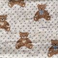 Teddy Bear Picnic // Swaddle