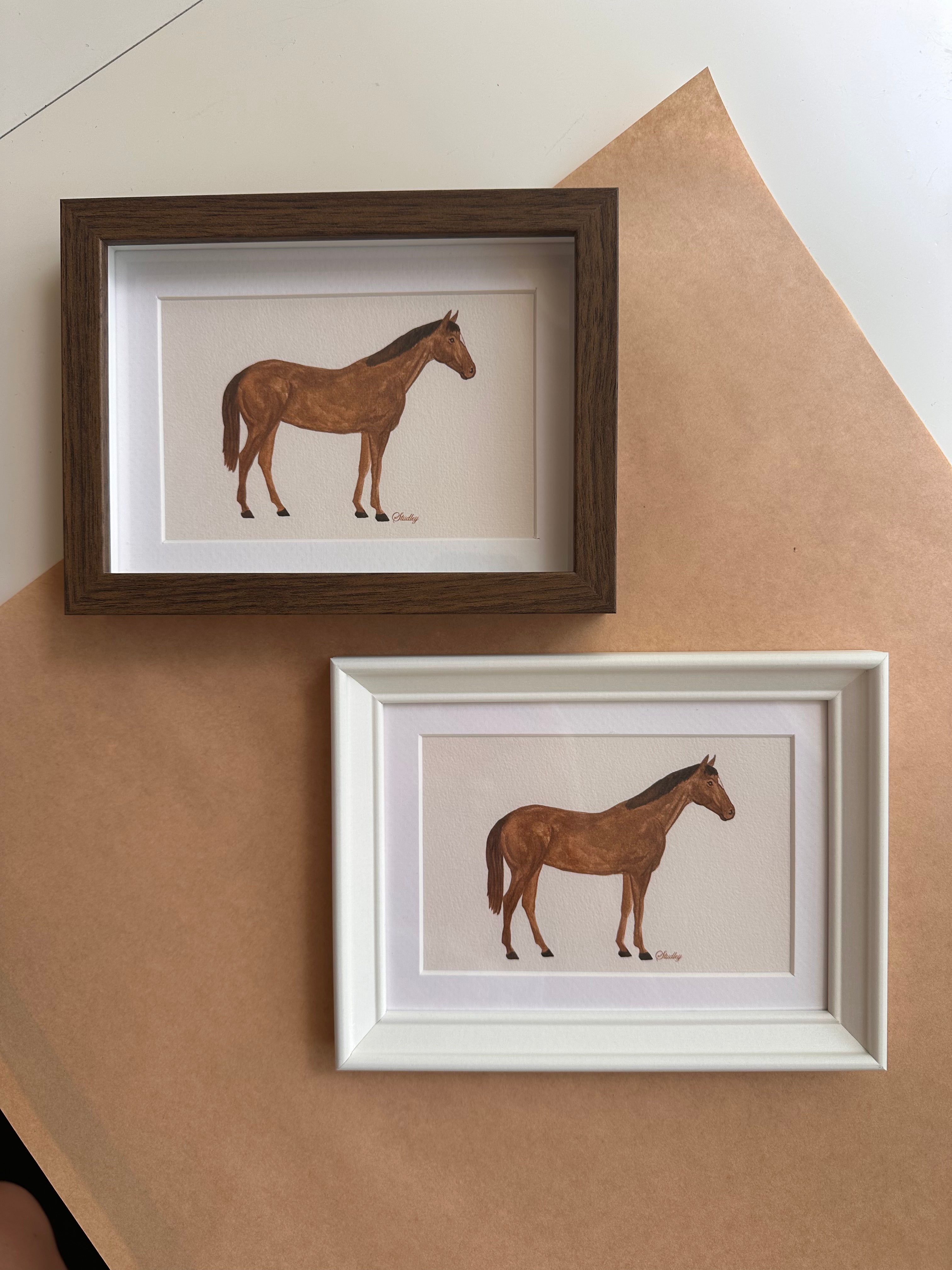 Horse // Mini Framed Artwork