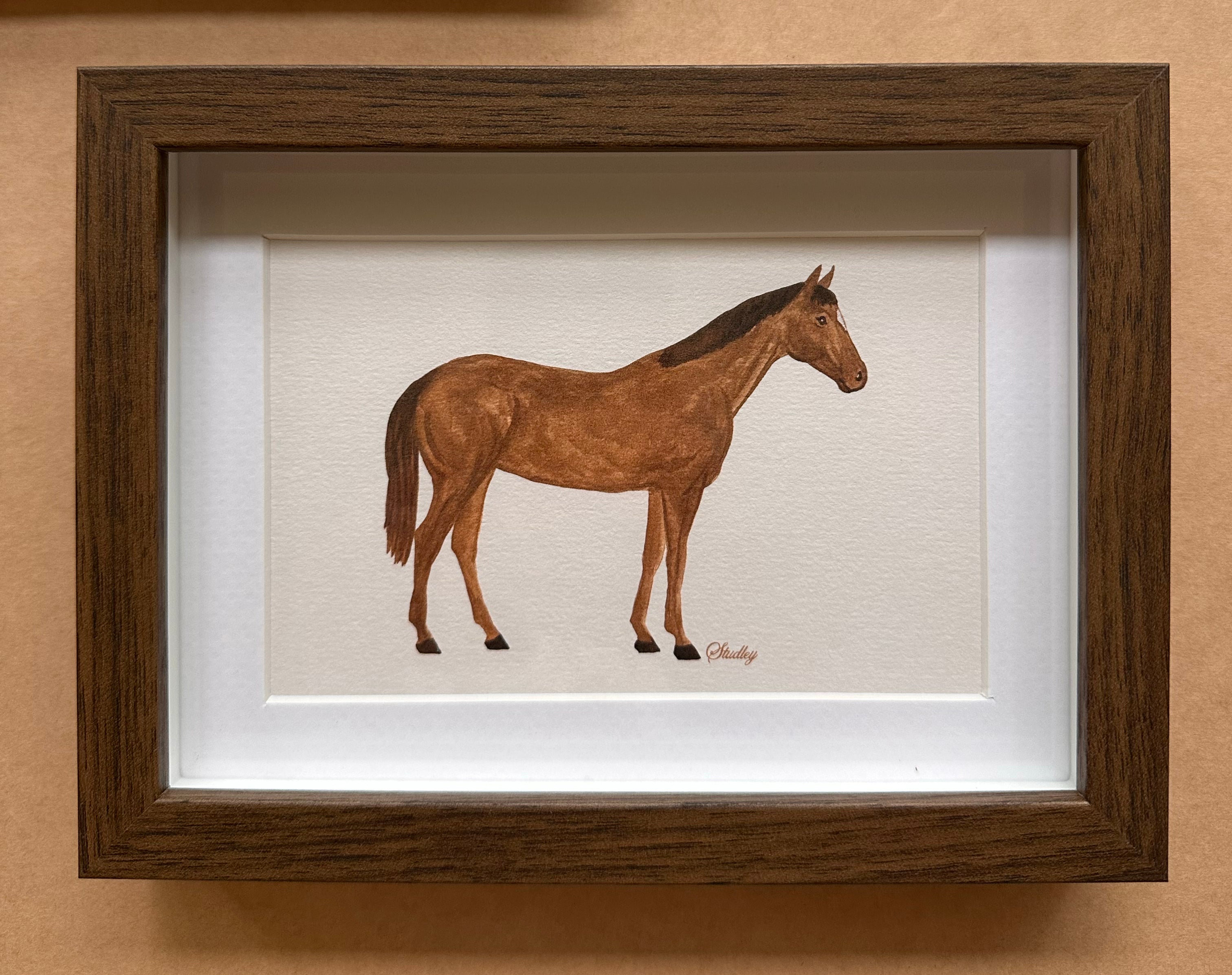 Horse // Mini Framed Artwork