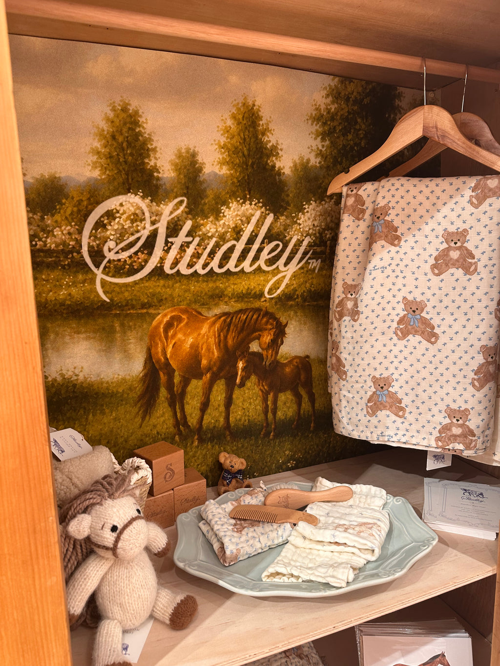 Teddy Bear Picnic // Swaddle