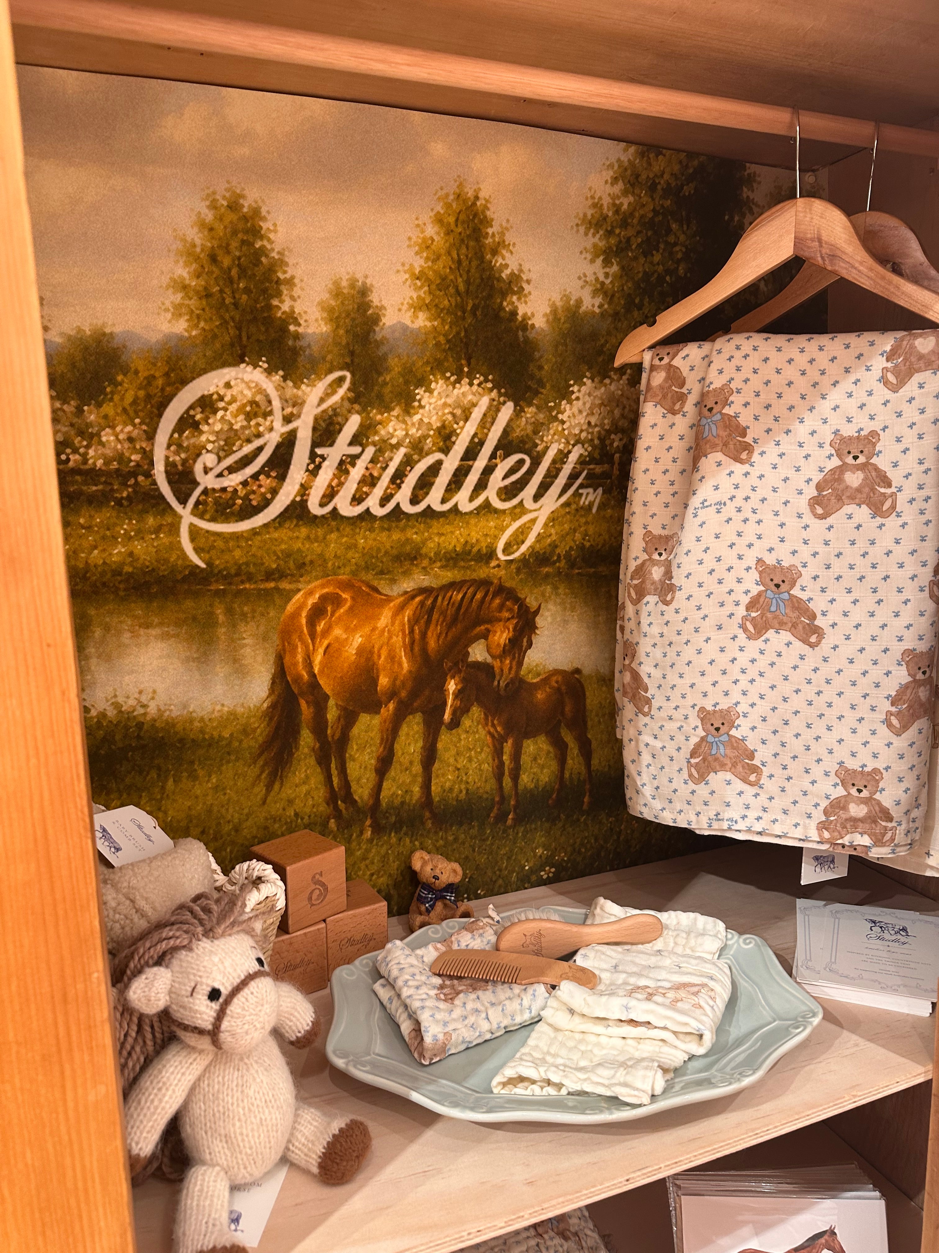 Teddy Bear Picnic // Swaddle