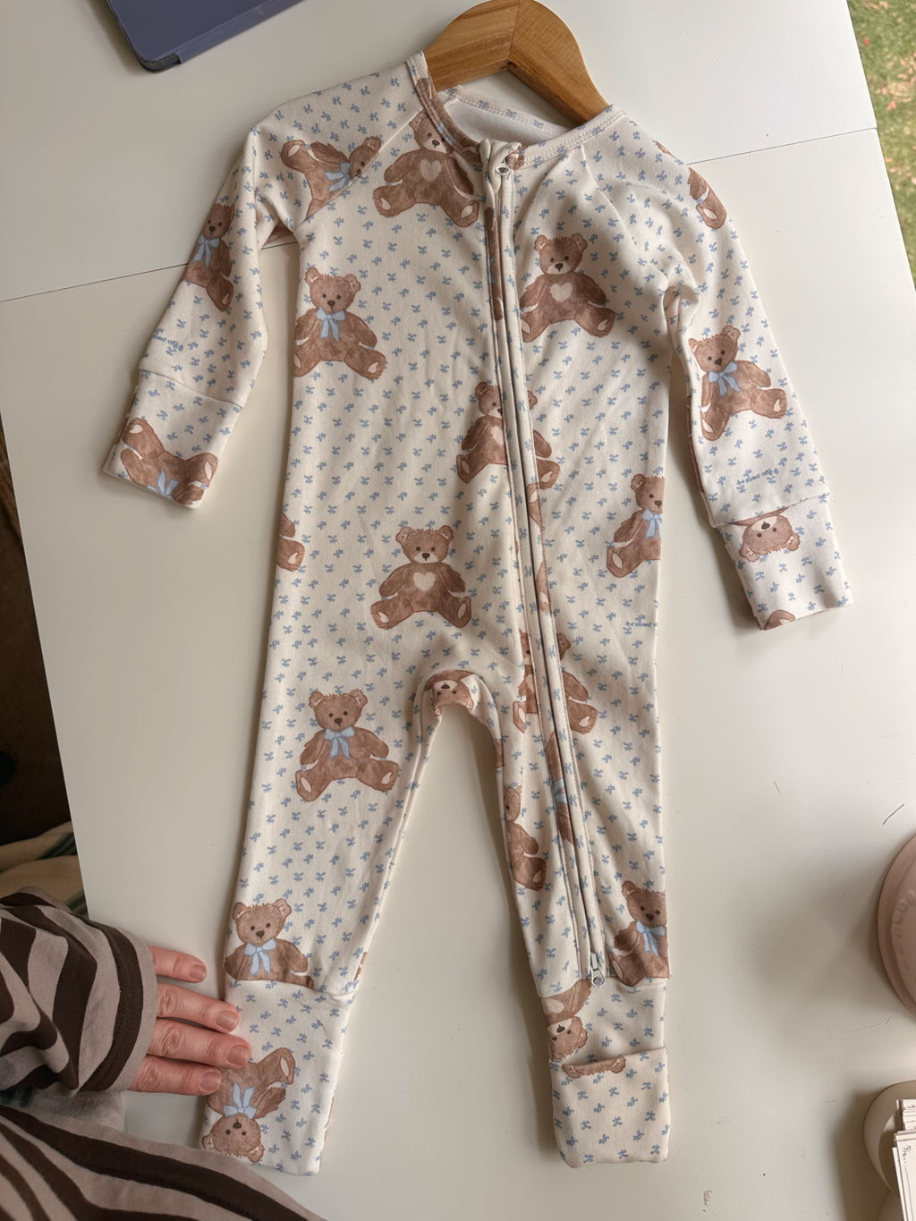 Teddy Bear Picnic // Growsuit