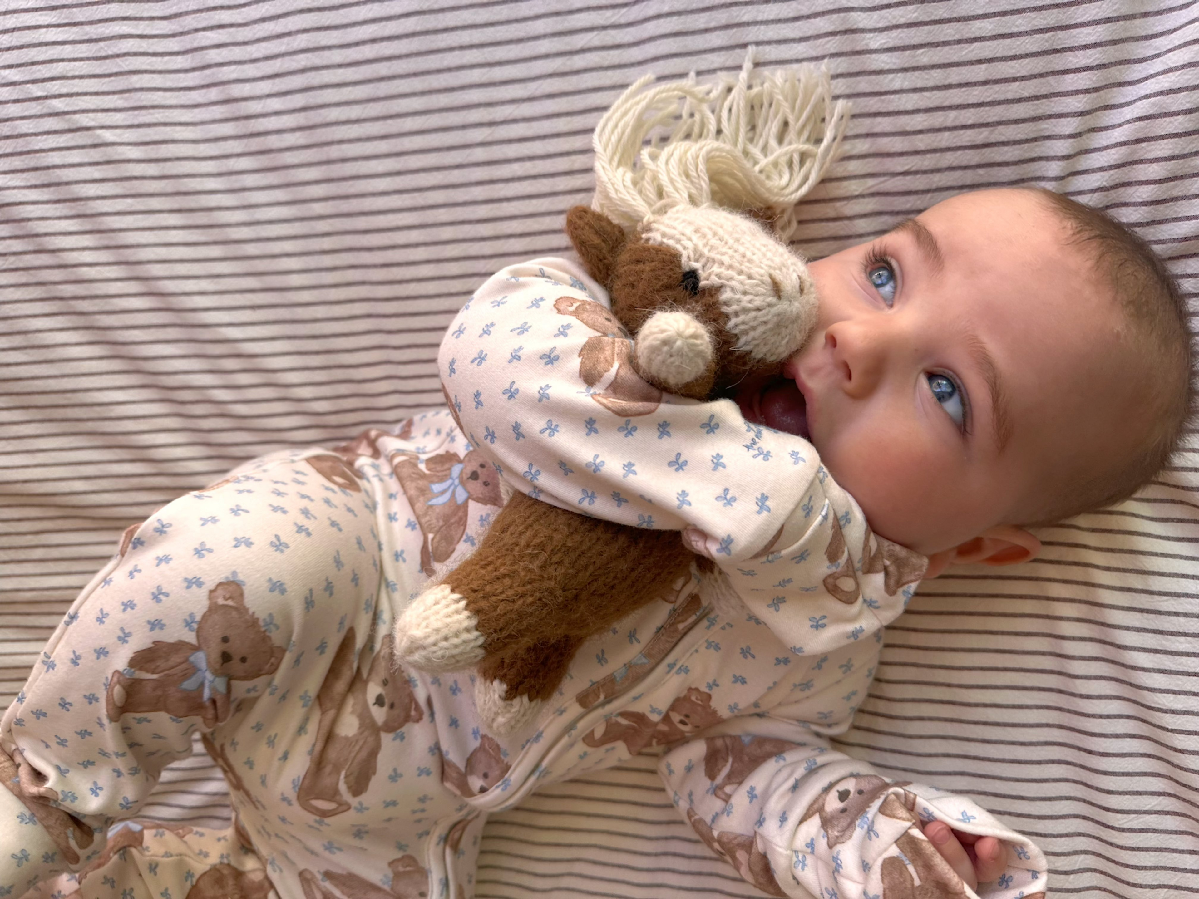 Teddy Bear Picnic // Growsuit
