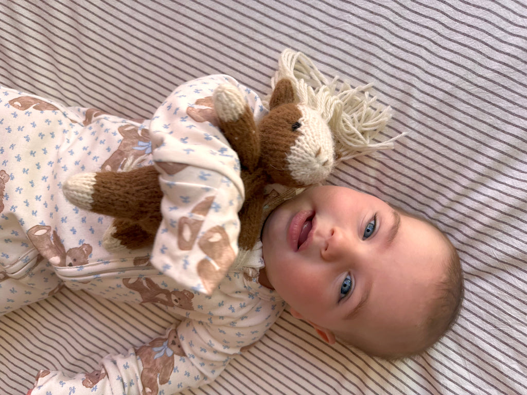 Teddy Bear Picnic // Growsuit