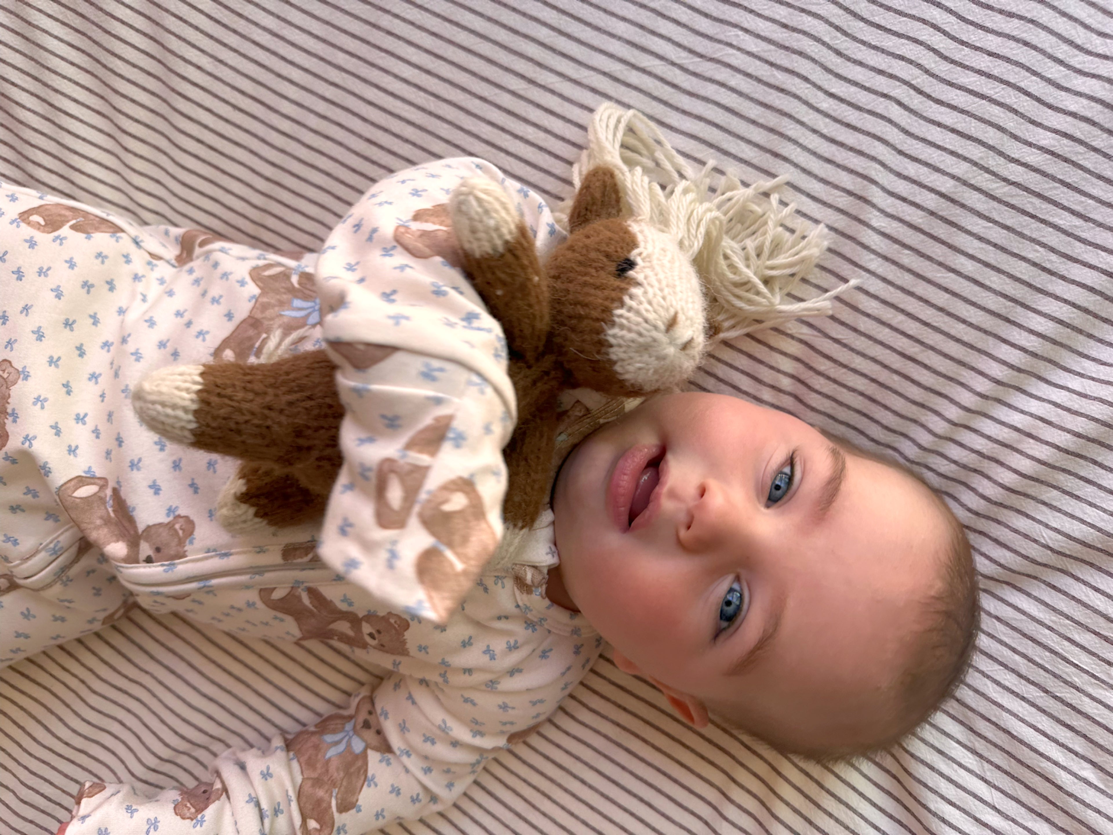 Teddy Bear Picnic // Growsuit