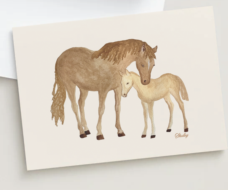 Mare & Colt // Card