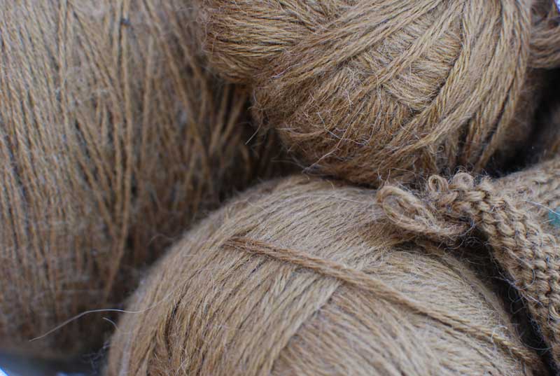Studley Heirloom Horse // Brown